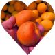 Morela Early Orange wczesne dojrzewanie 100-150 cm