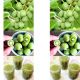 Mini Kiwi Geneva aromatyczny smak KRZEW 40-80 cm