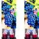 Winogron Leon Millot ciemne na wino KRZEW 60-90 cm