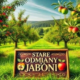 stare odmiany jabłoni